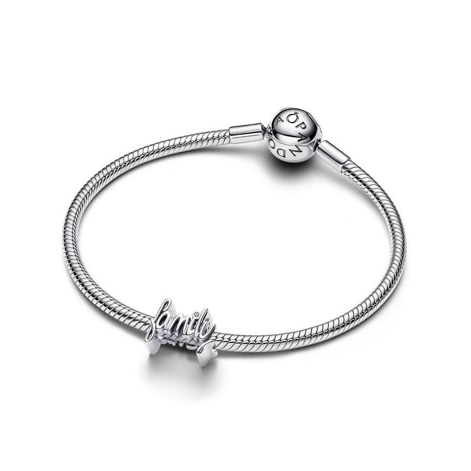 PANDORA Pandora Moments Charm 