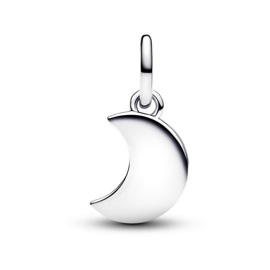 PANDORA Pandora Moments Charm 