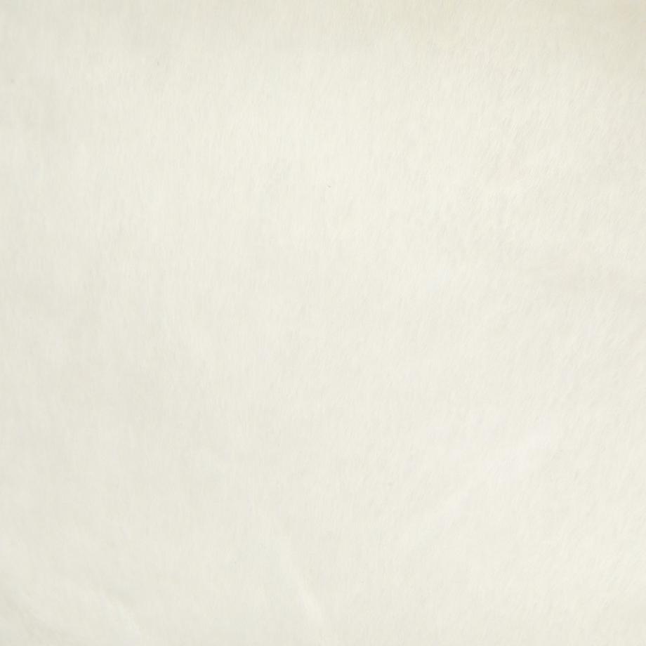 High Hope  Ours cœur blanc 