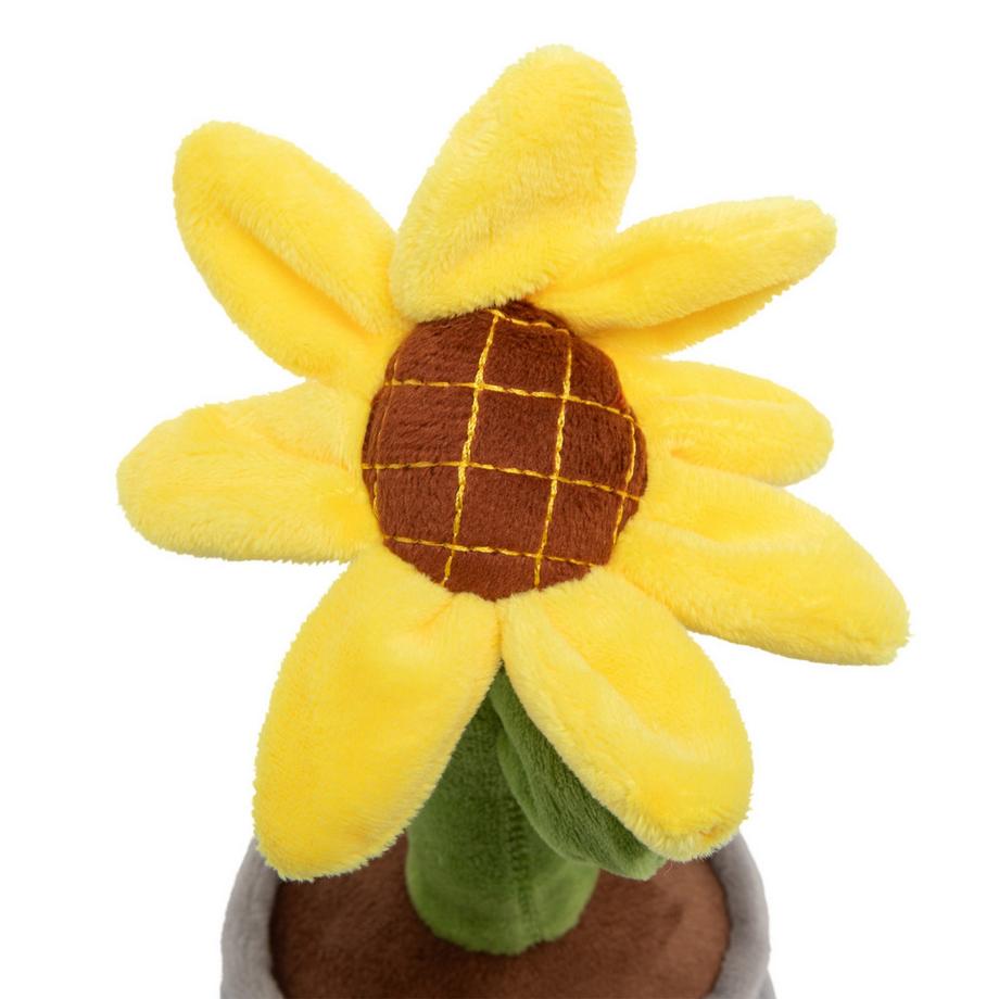 High Hope  Sonnenblume 