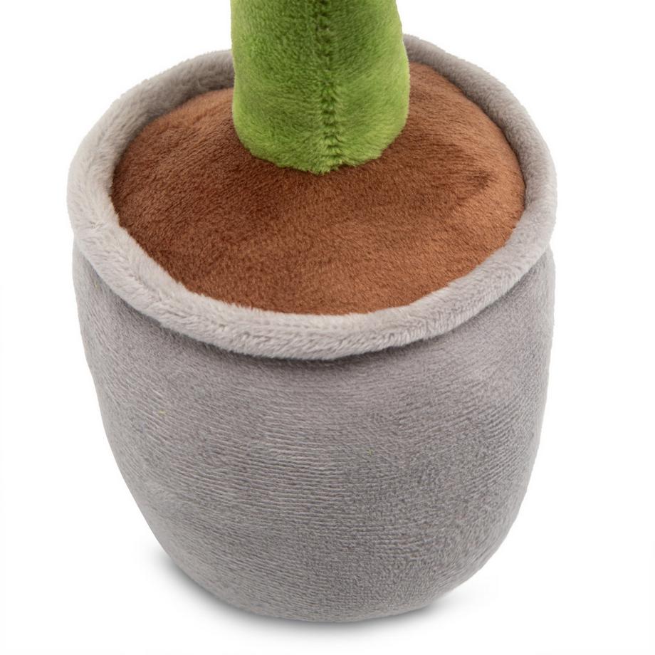 High Hope  Sonnenblume 