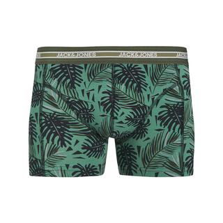 JACK & JONES Jacezra Pantys set di 3  
