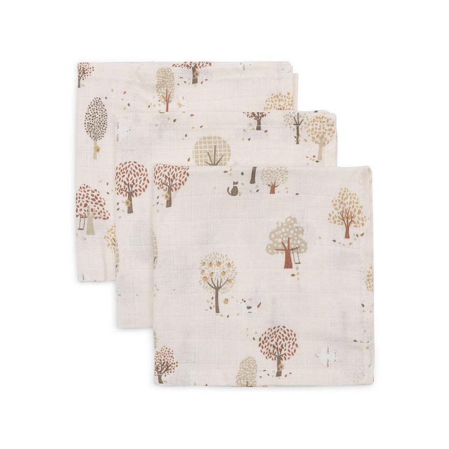 Fascia, Multipack