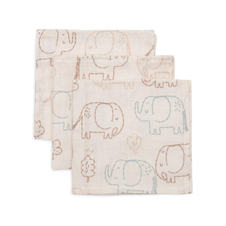 Fascia, Multipack