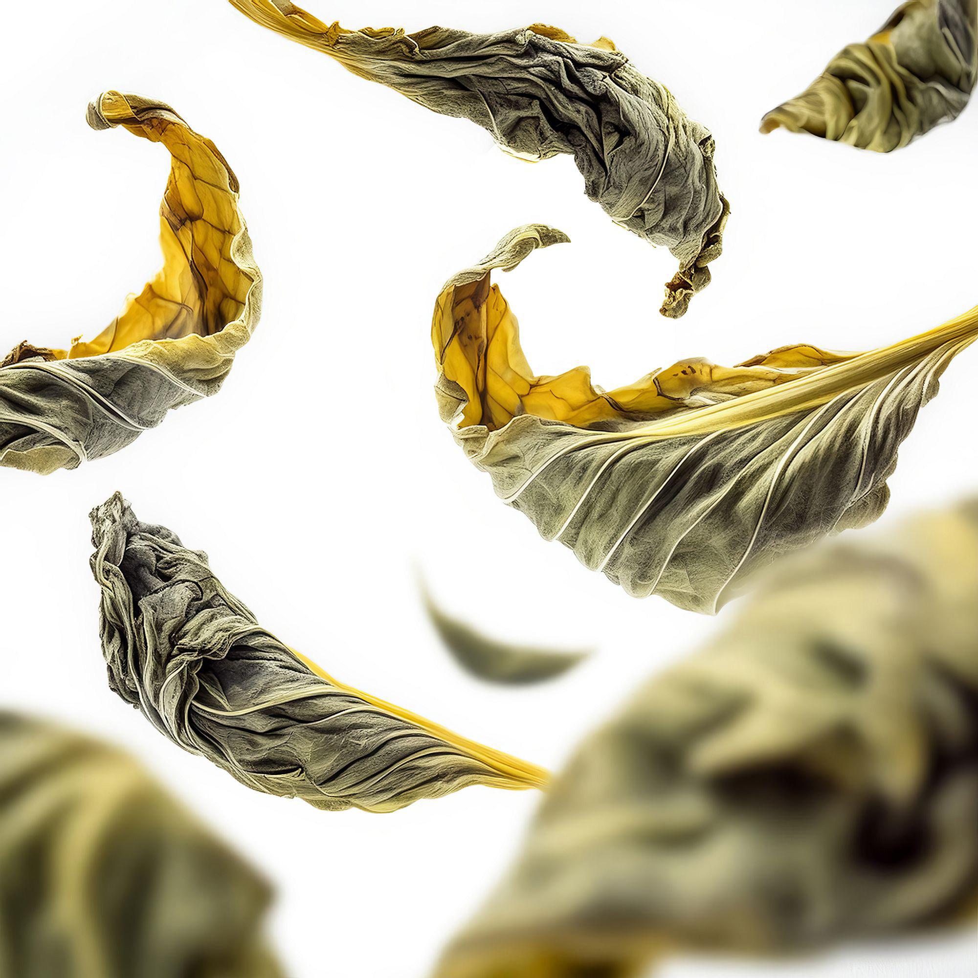 RITUALS  Royal Tea Refill Car Air Freshener 