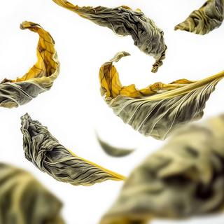 RITUALS  Royal Tea Refill Car Air Freshener 