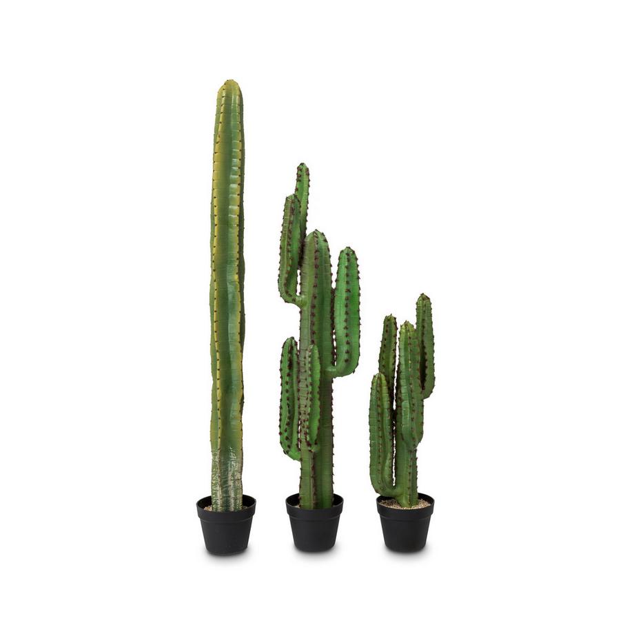 Manor Cactus artificiel Kaktus 