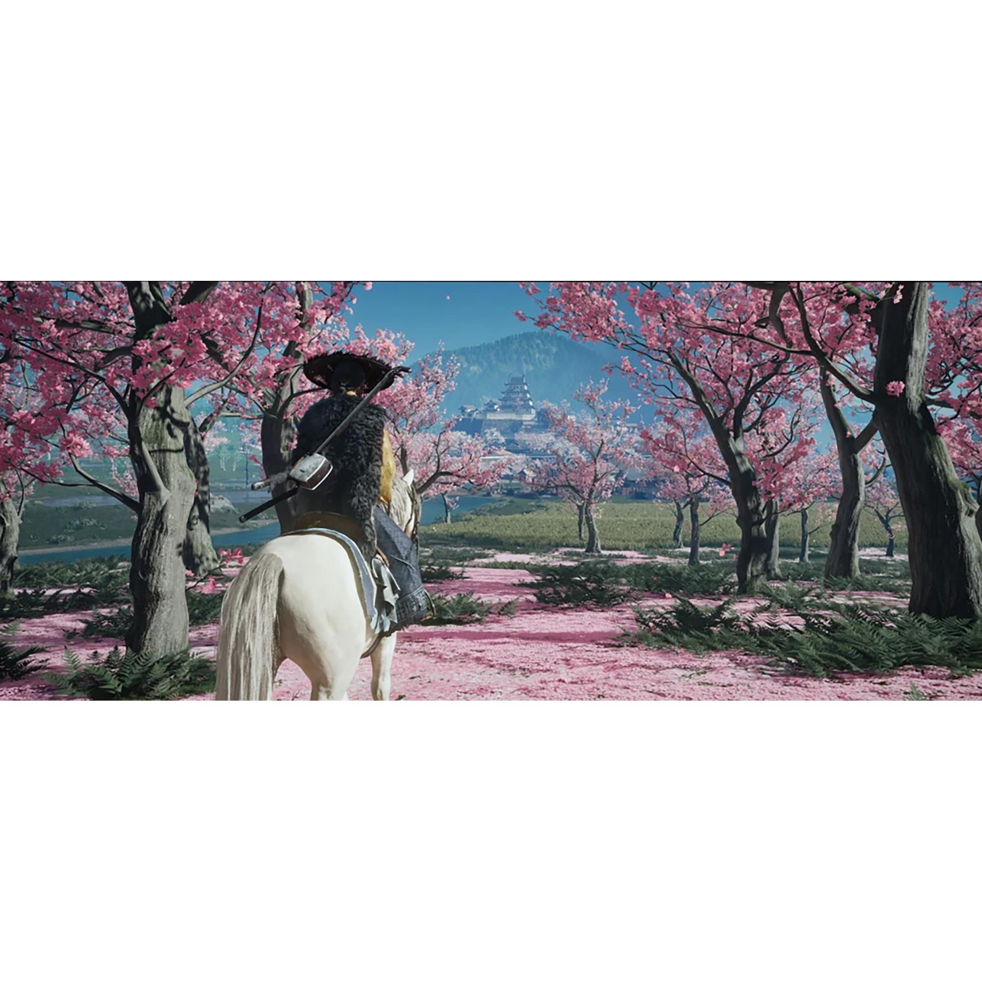 Sucker Punch Ghost of Yotei [PS5] (D/F/I) (PS5) 