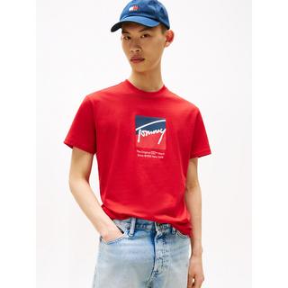 TOMMY JEANS Regular Fit Logo Print T-Shirt  