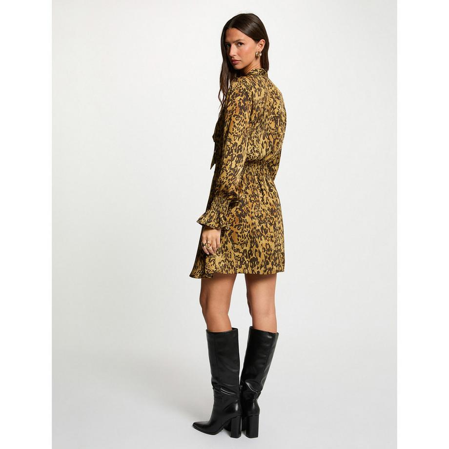 MORGAN Leopardenmuster Minikleid mit Schleifendetail  