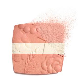 CHANEL LES SIGNES DE CHANEL POUDRE BLUSH ILLUMINATRICE 