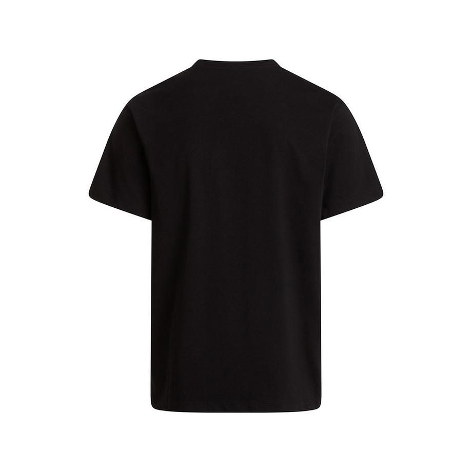 THE NORTH FACE M EVOLUTION SIMPLE DOME REGULAR SHORT SL T-shirt 