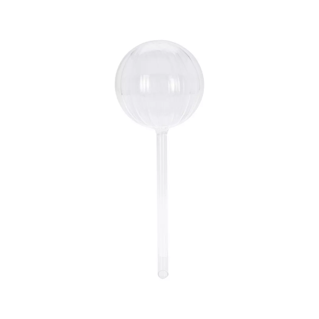 - Wasserspender, 2er Set, Transparent