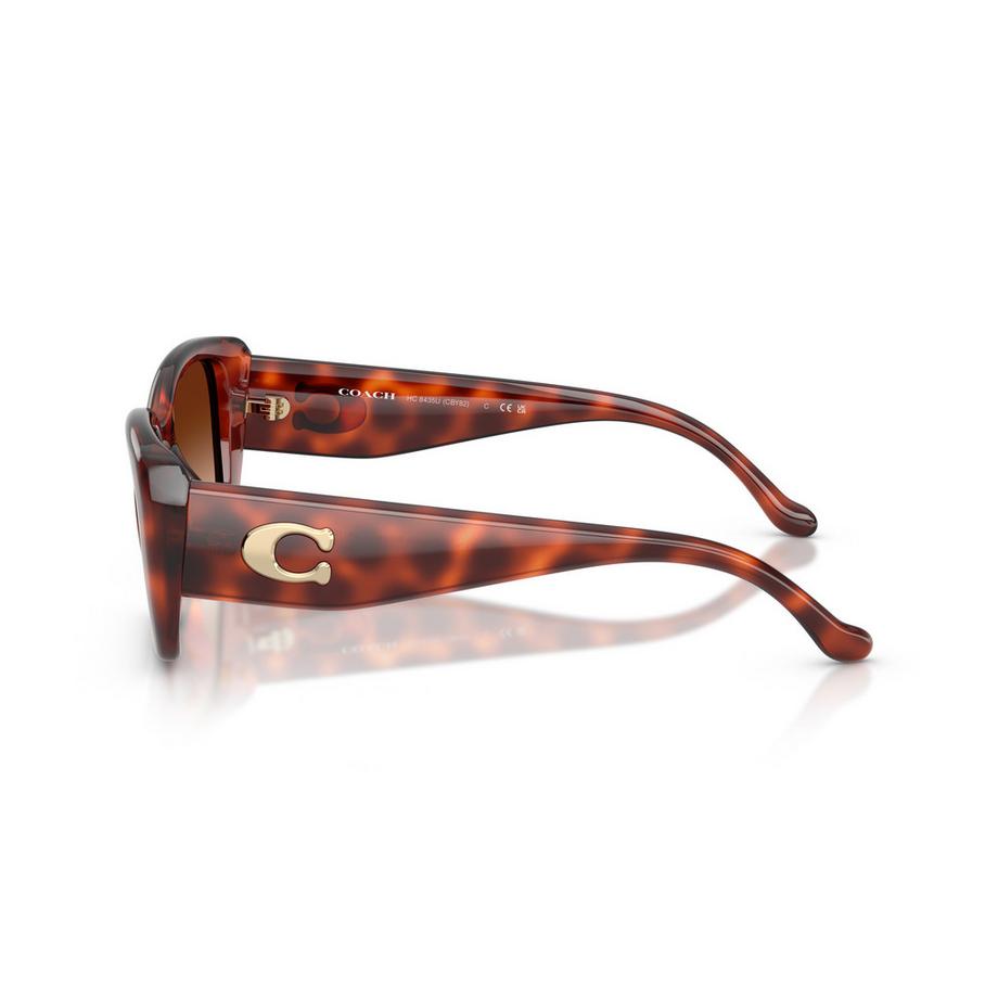 COACH  Occhiali da sole 