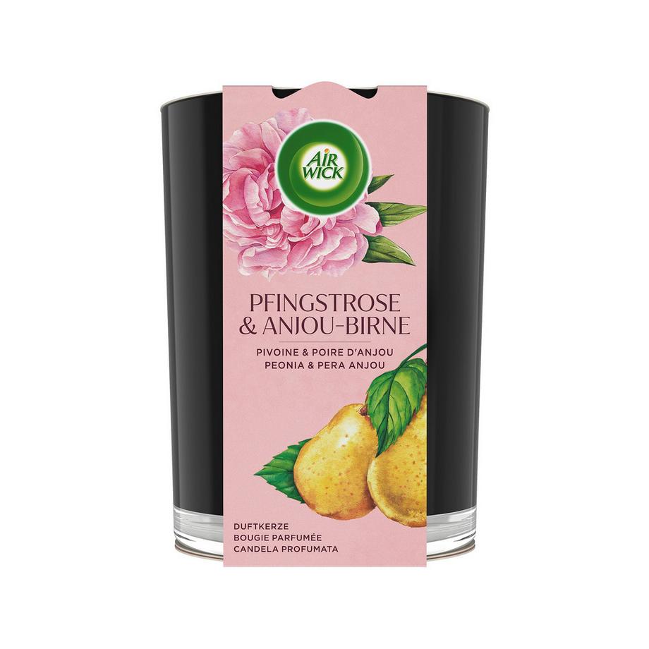 AIR WICK Candela profumata Pfingstrose & Anjou-Birne 
