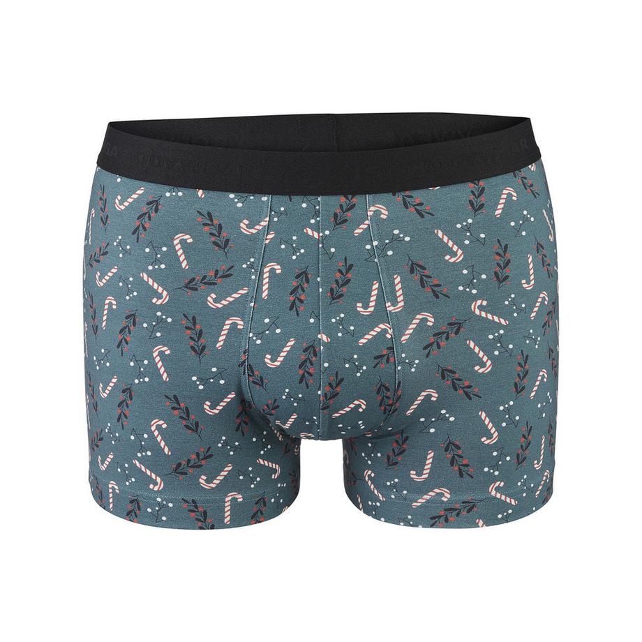 ISA bodywear Panty Stampa Bastoncino Zucchero Agrifoglio  