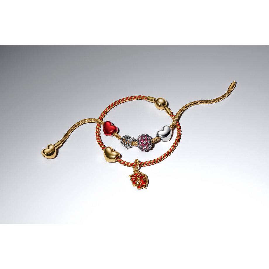 PANDORA Pandora Moments Armband 