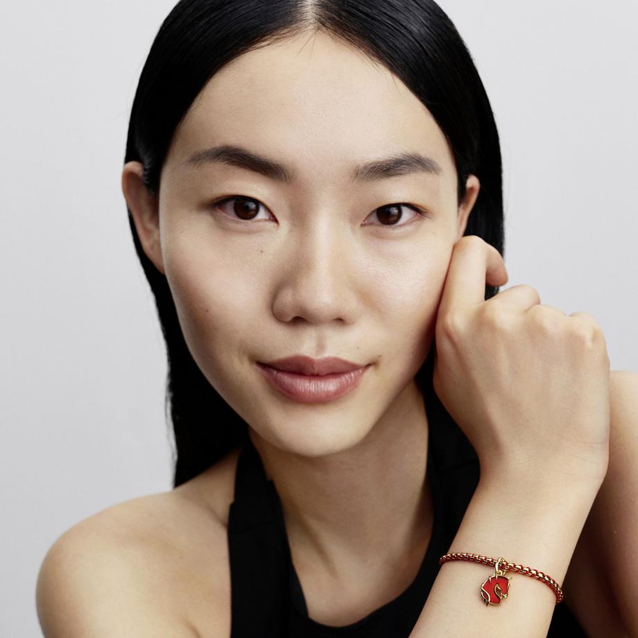 PANDORA Pandora Moments Armband 