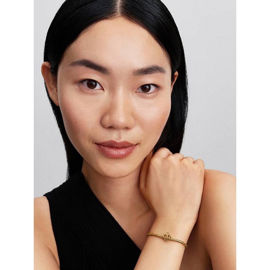 PANDORA Pandora Moments Charm 