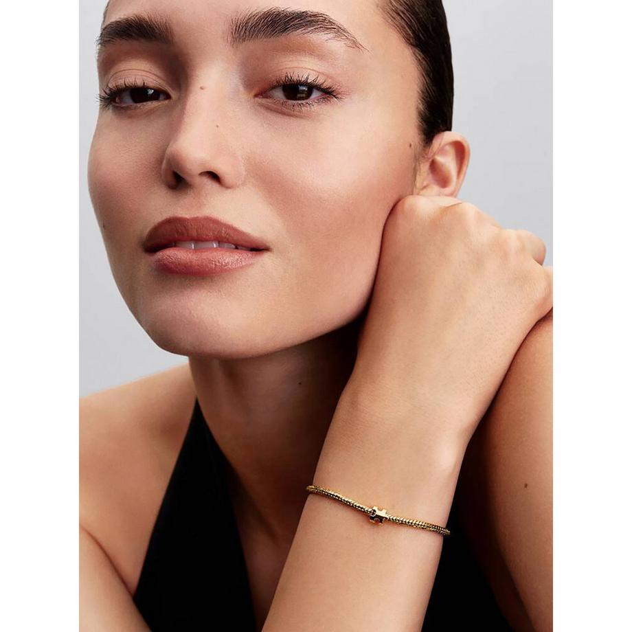 PANDORA Pandora Moments Charm 