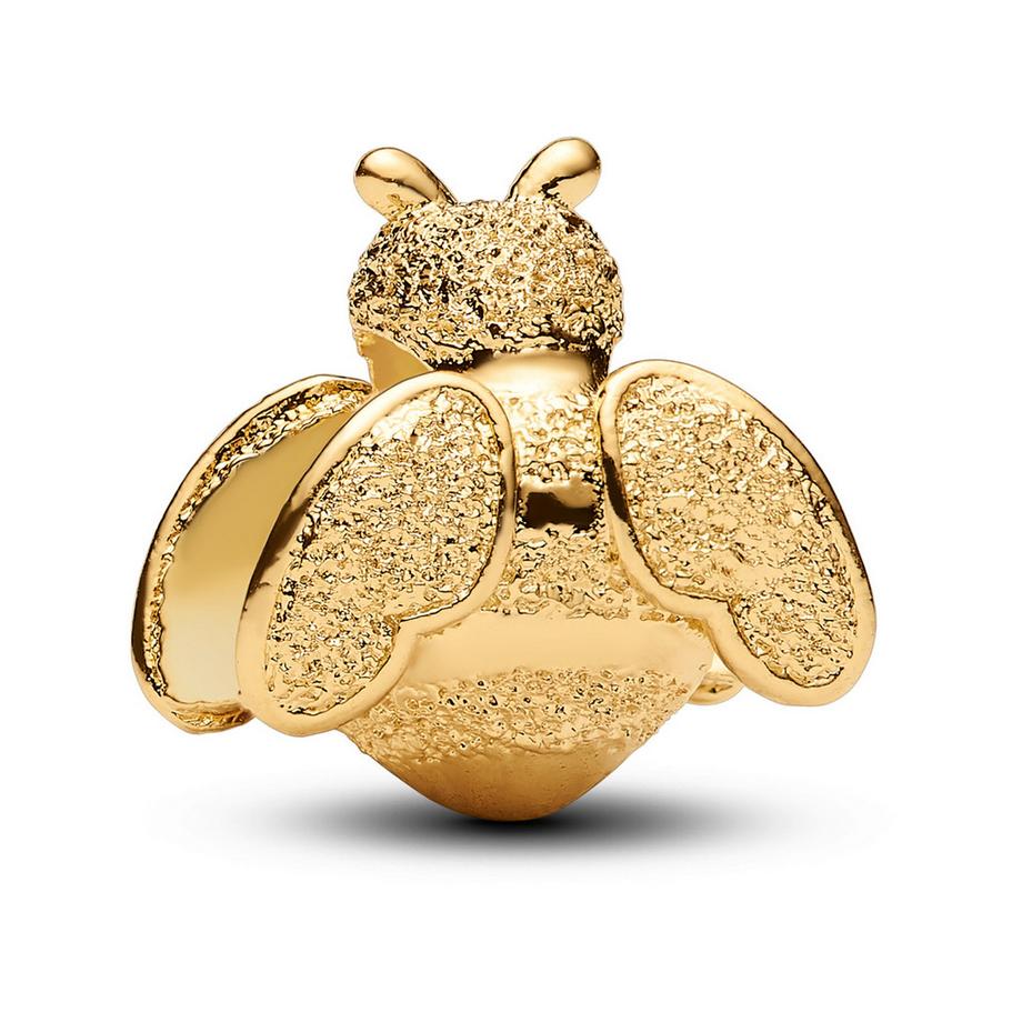 PANDORA Pandora Moments Charm 