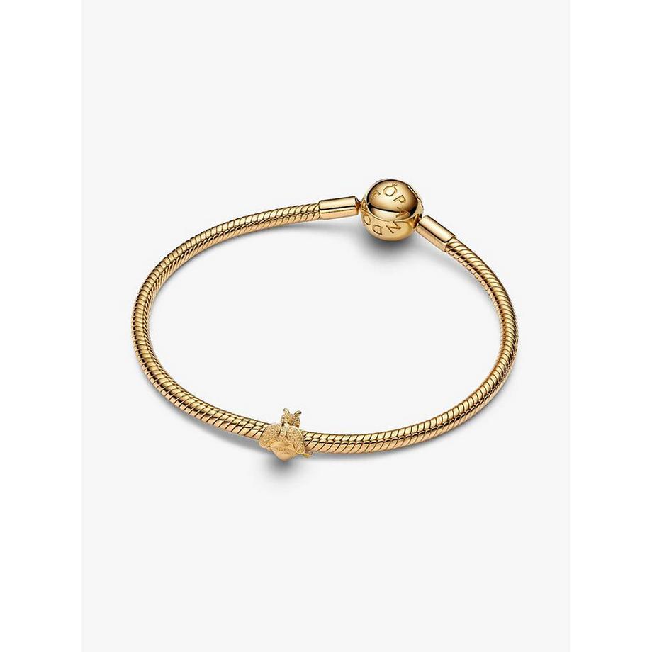 PANDORA Pandora Moments Charm 