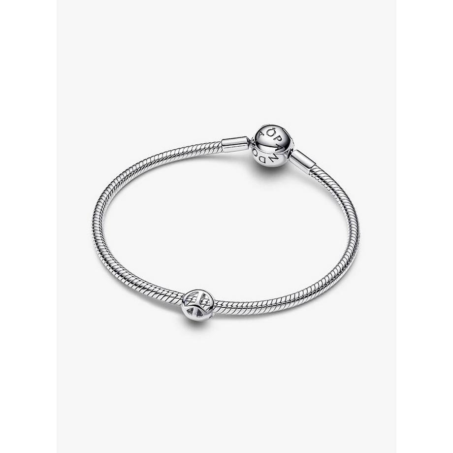PANDORA Pandora Moments Charm 