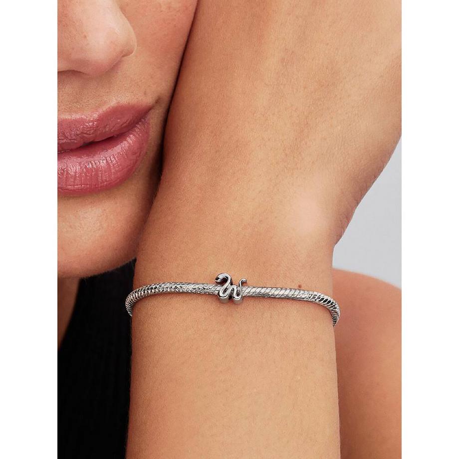 PANDORA Pandora Moments Charm 