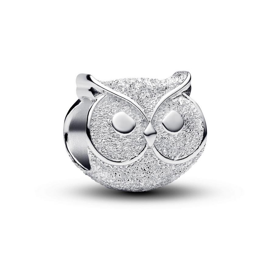 PANDORA Pandora Moments Charm 