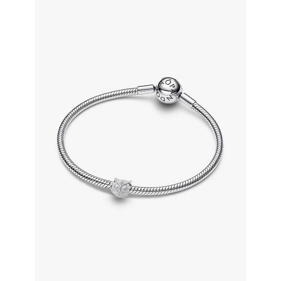PANDORA Pandora Moments Charm 