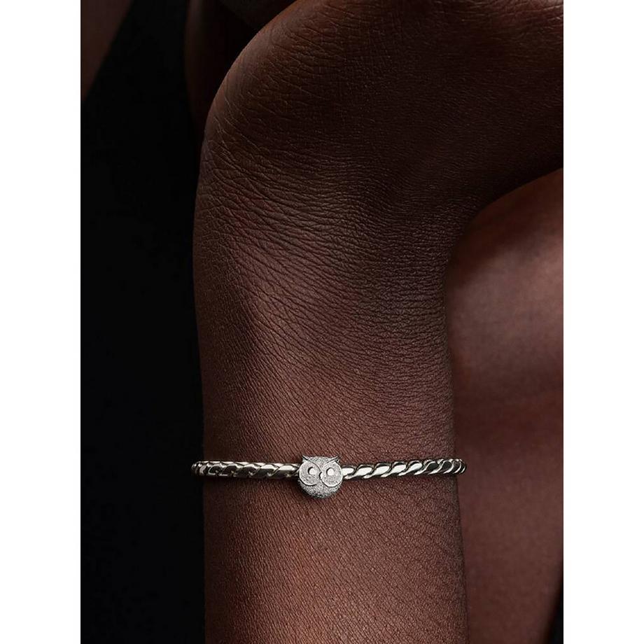 PANDORA Pandora Moments Charm 