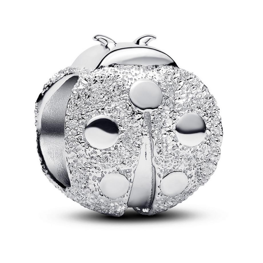 PANDORA Pandora Moments Charm 