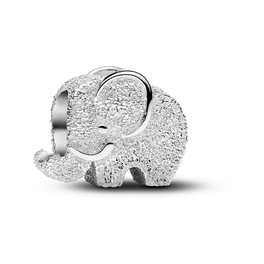 PANDORA Pandora Moments Charm 