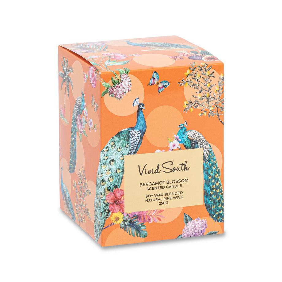 Manor Candela profumata Vivid south 