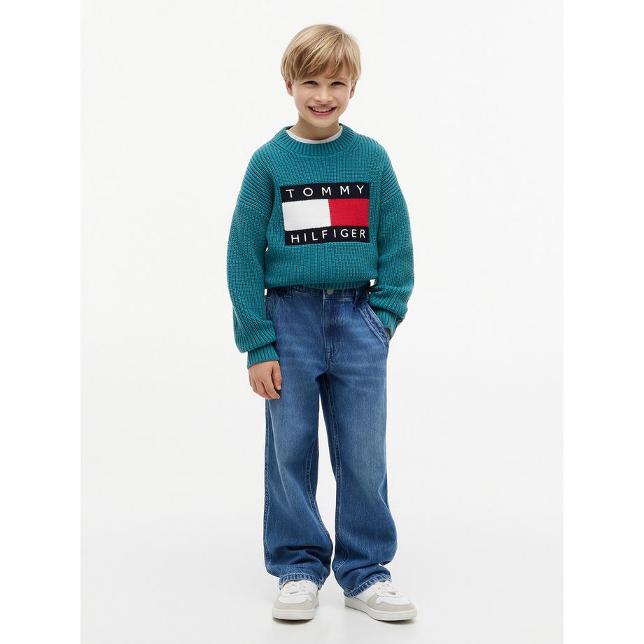 TOMMY HILFIGER  Jeans 