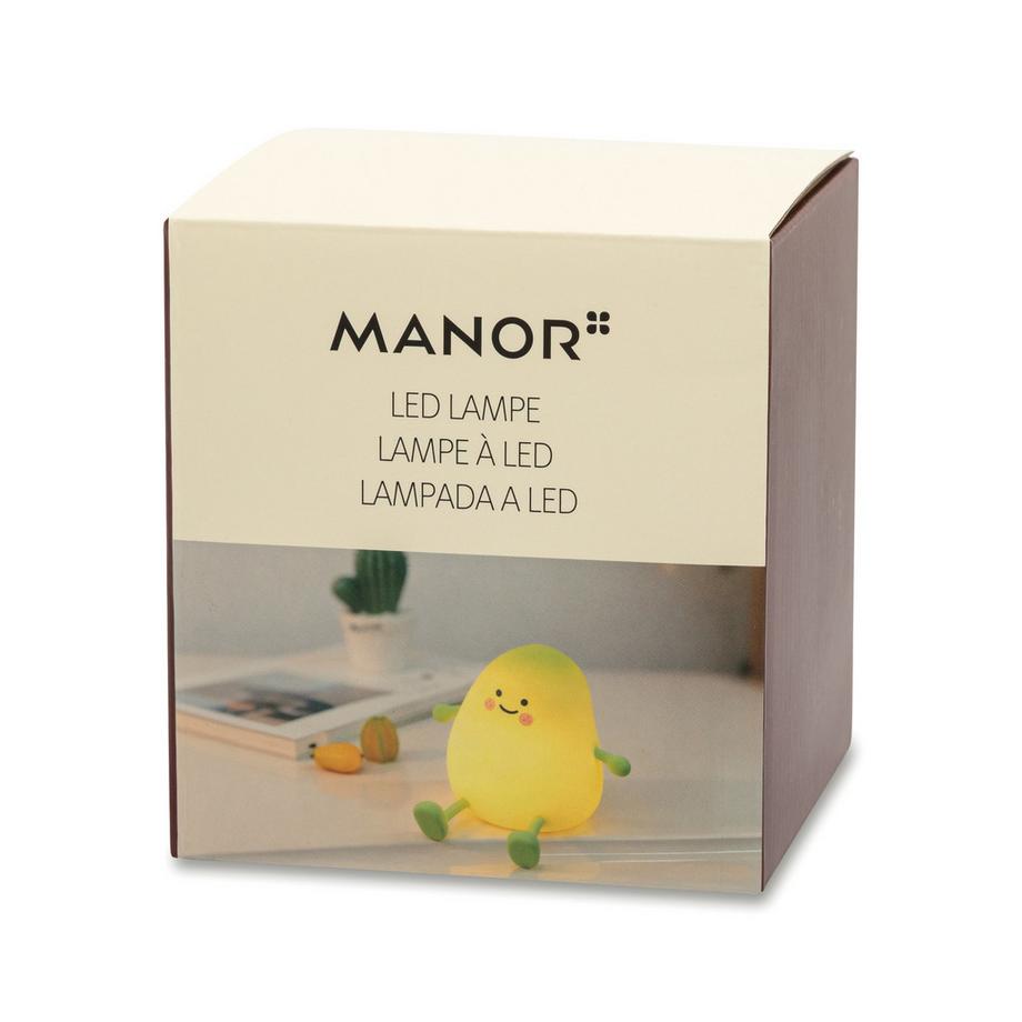 Manor Article de décoration LED Mango 