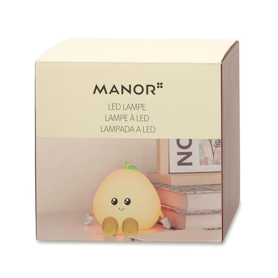 Manor Article de décoration LED Pomelo 