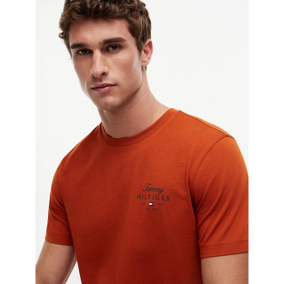 TOMMY HILFIGER T-shirt con logo  