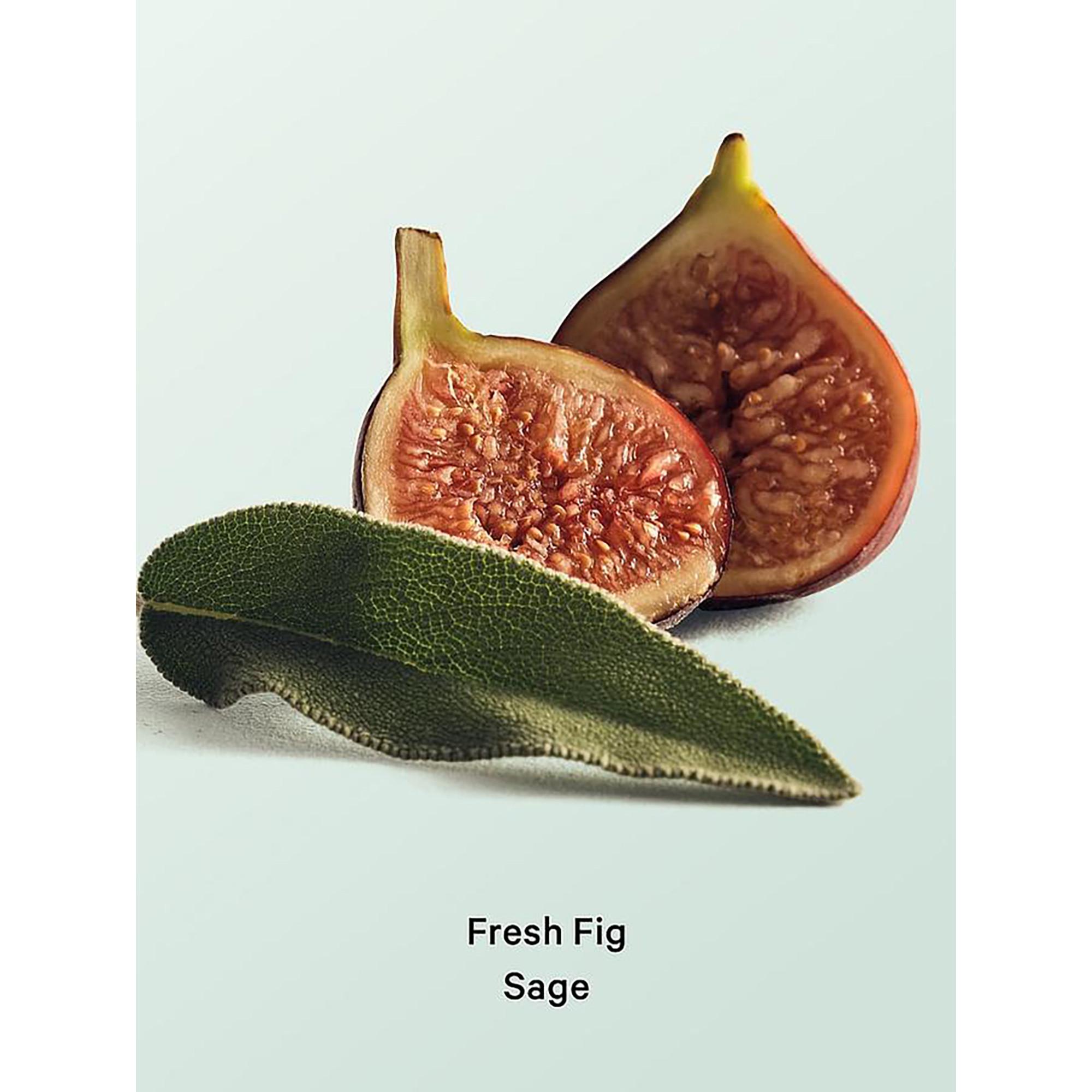 Victoria's Secret  Fresh Fig Sage Natural Beauty Body Mist 