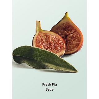 Victoria's Secret  Fresh Fig Sage Natural Beauty Body Mist 