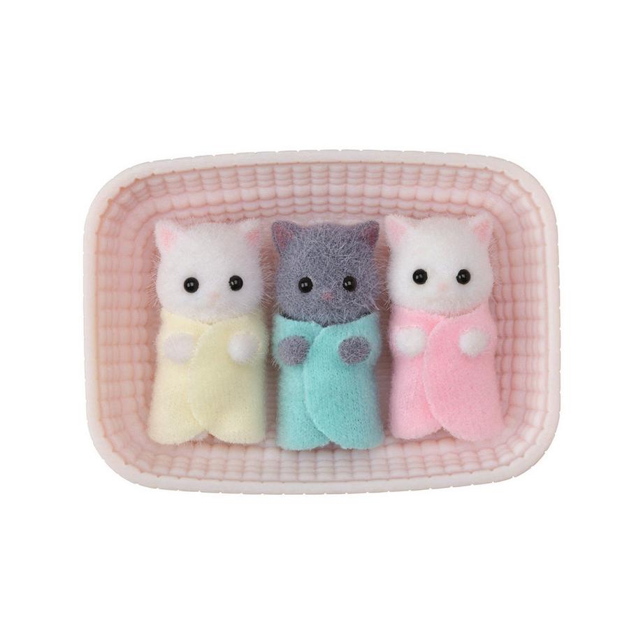 Perserkatzen Drillinge