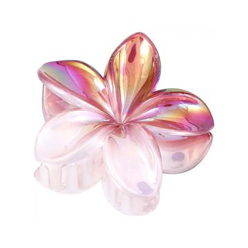 Molletta per capelli