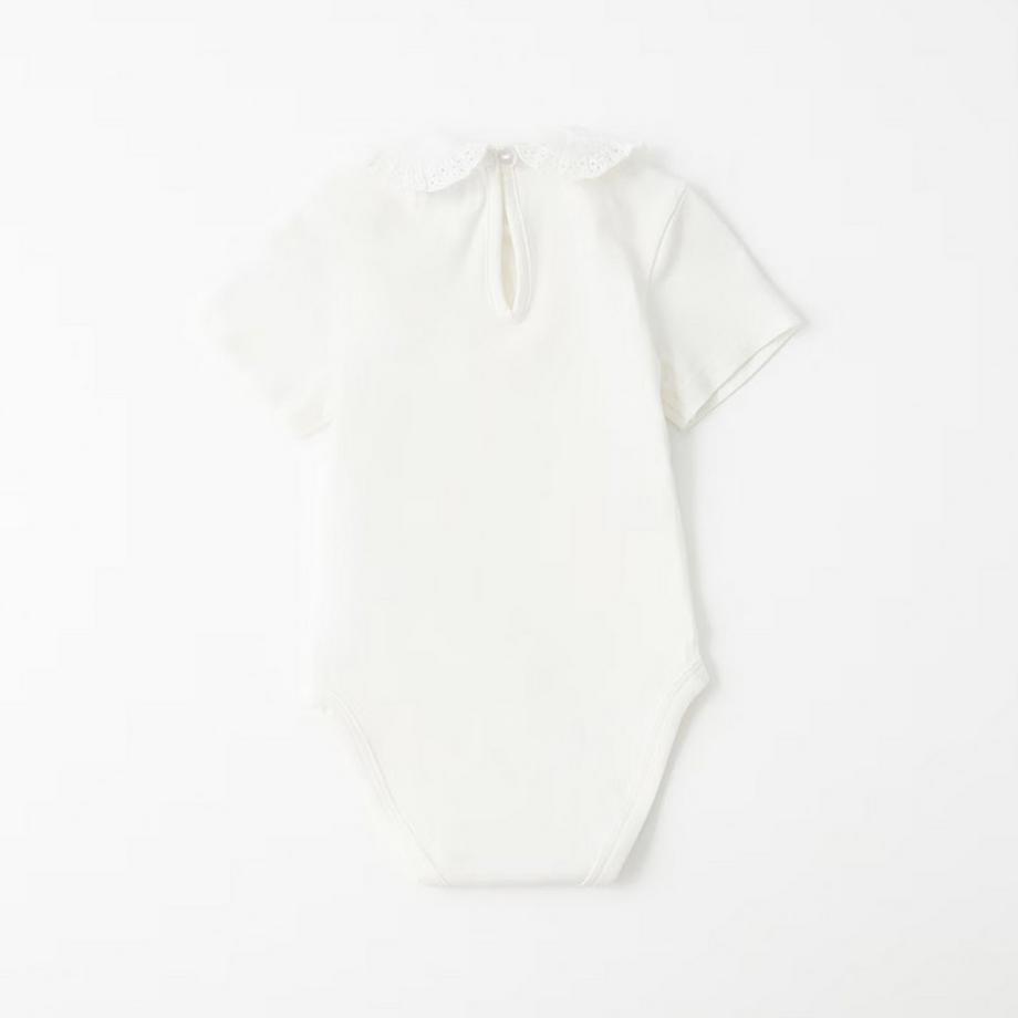 Sfera  Body 