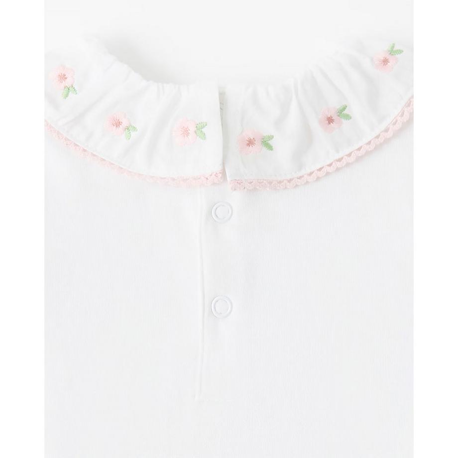 Sfera  Body 