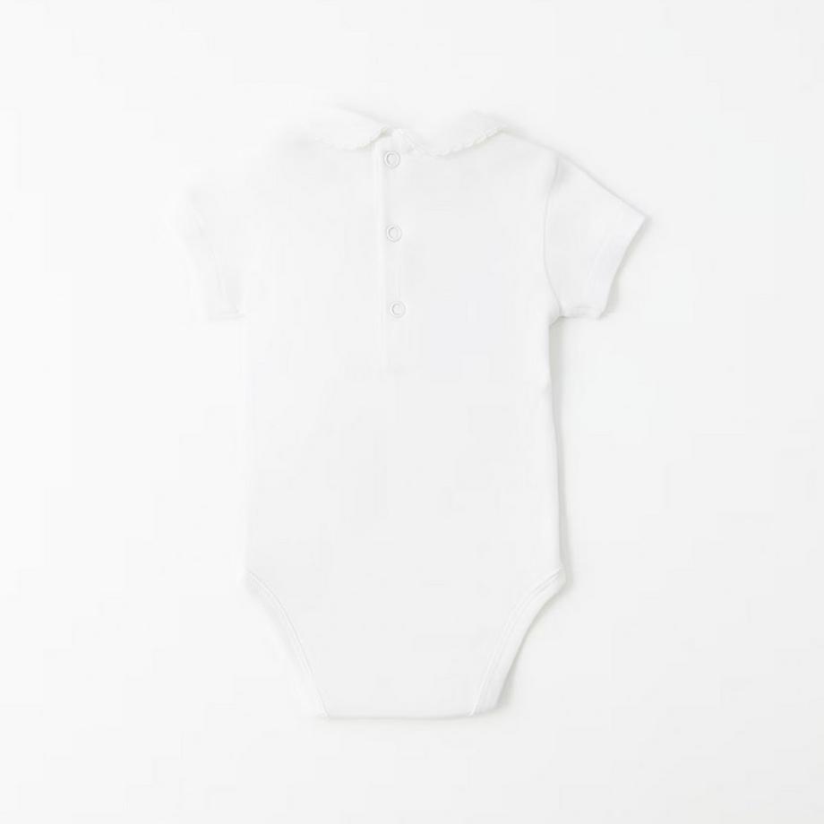 Sfera  Body 
