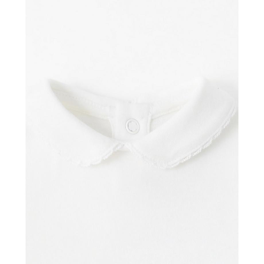 Sfera  Body 
