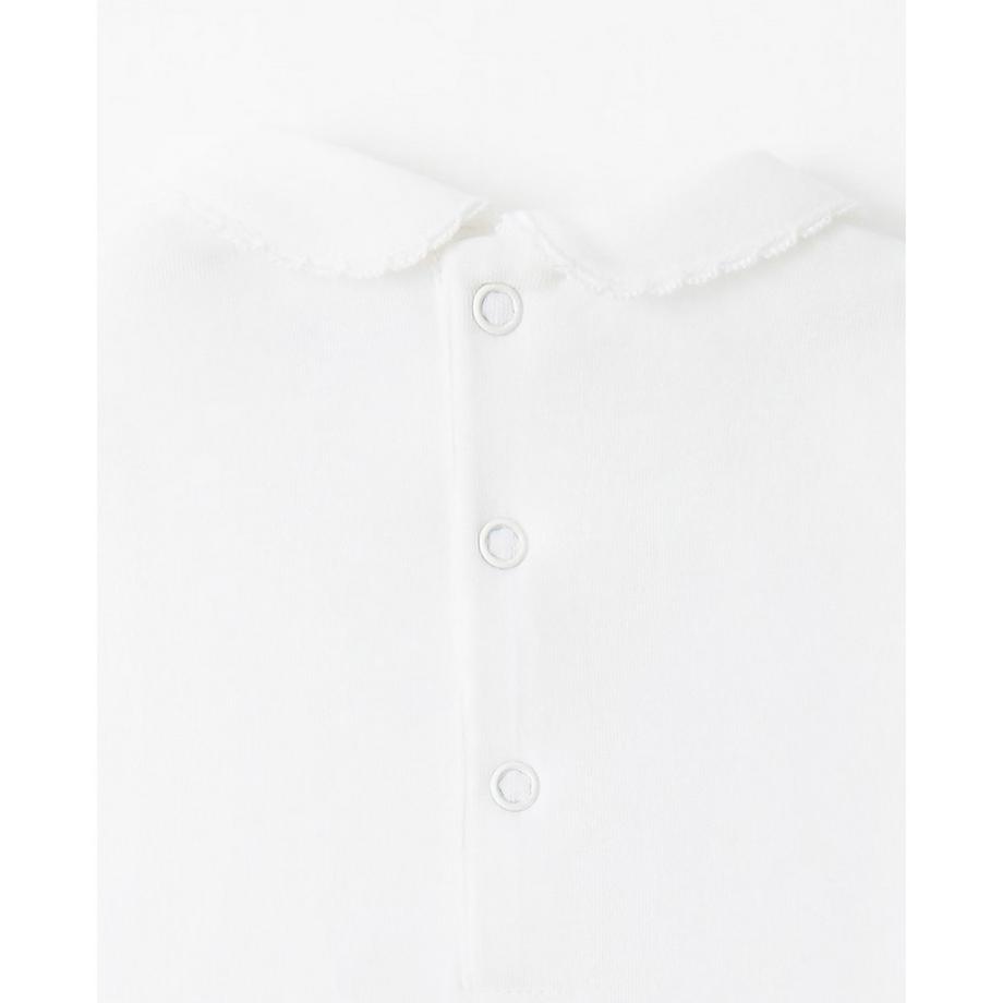 Sfera  Body 