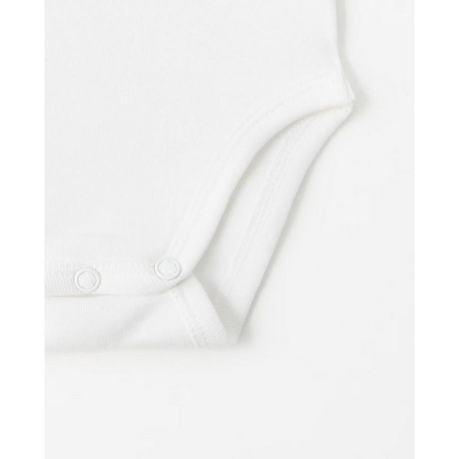 Sfera  Body 