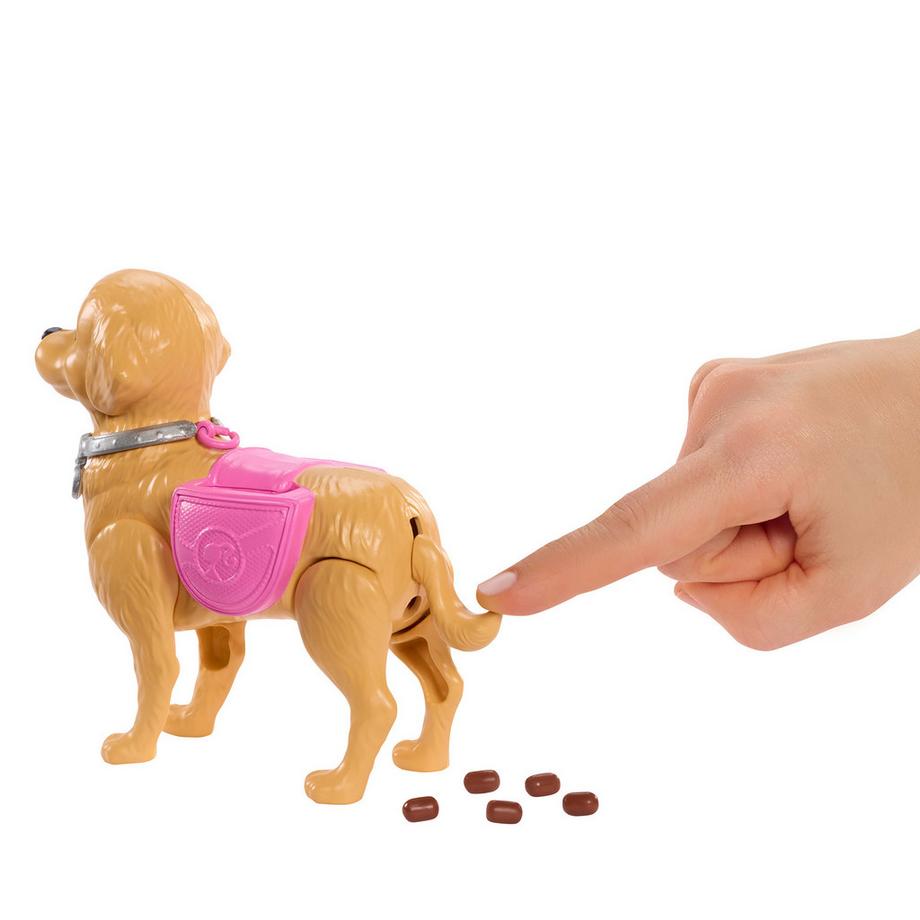 Barbie  Promenade de chien 