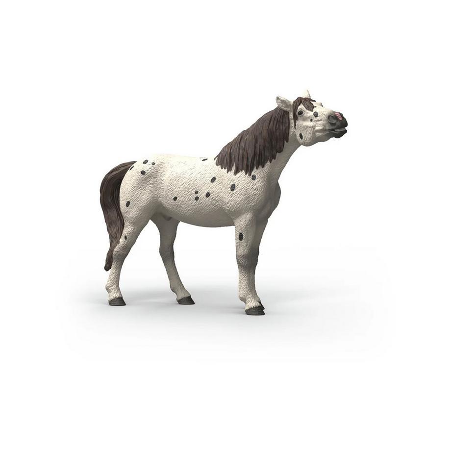 14916 Castrone knabstrupper